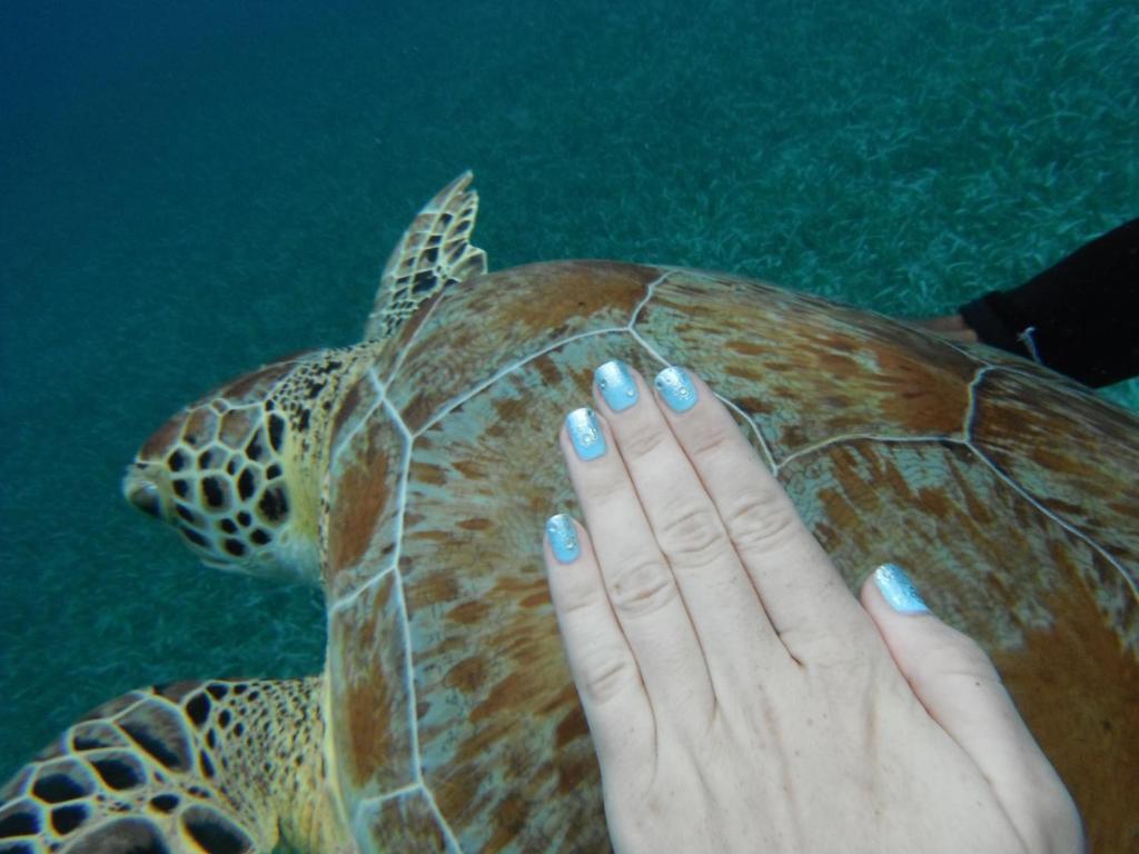 Shaka Caye All Inclusive Resort Belize City Luaran gambar